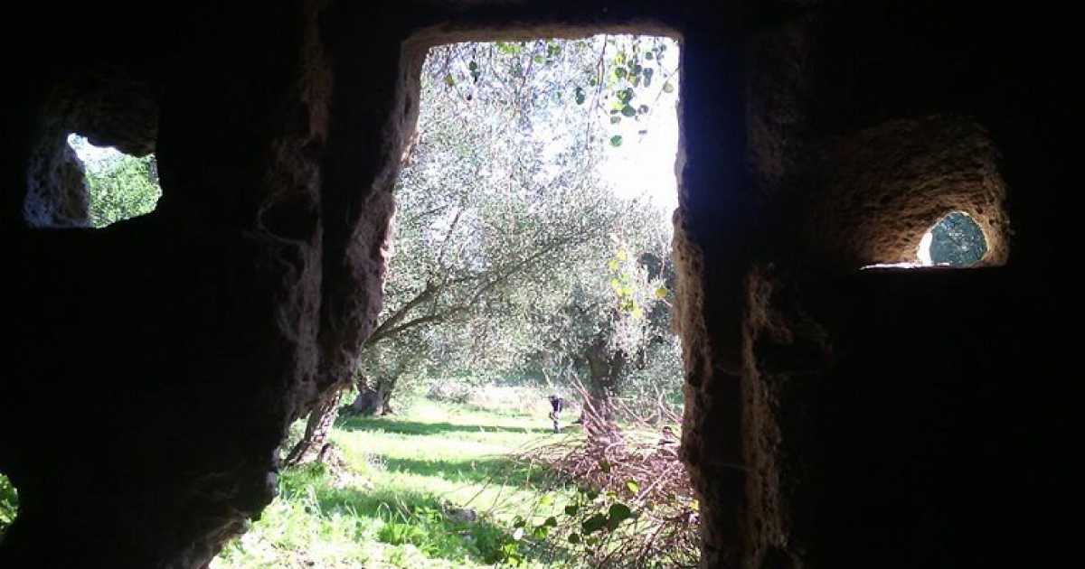 Fasano, chiese rupestri immerse tra gli ulivi secolari: � ''Lama D'Antico''